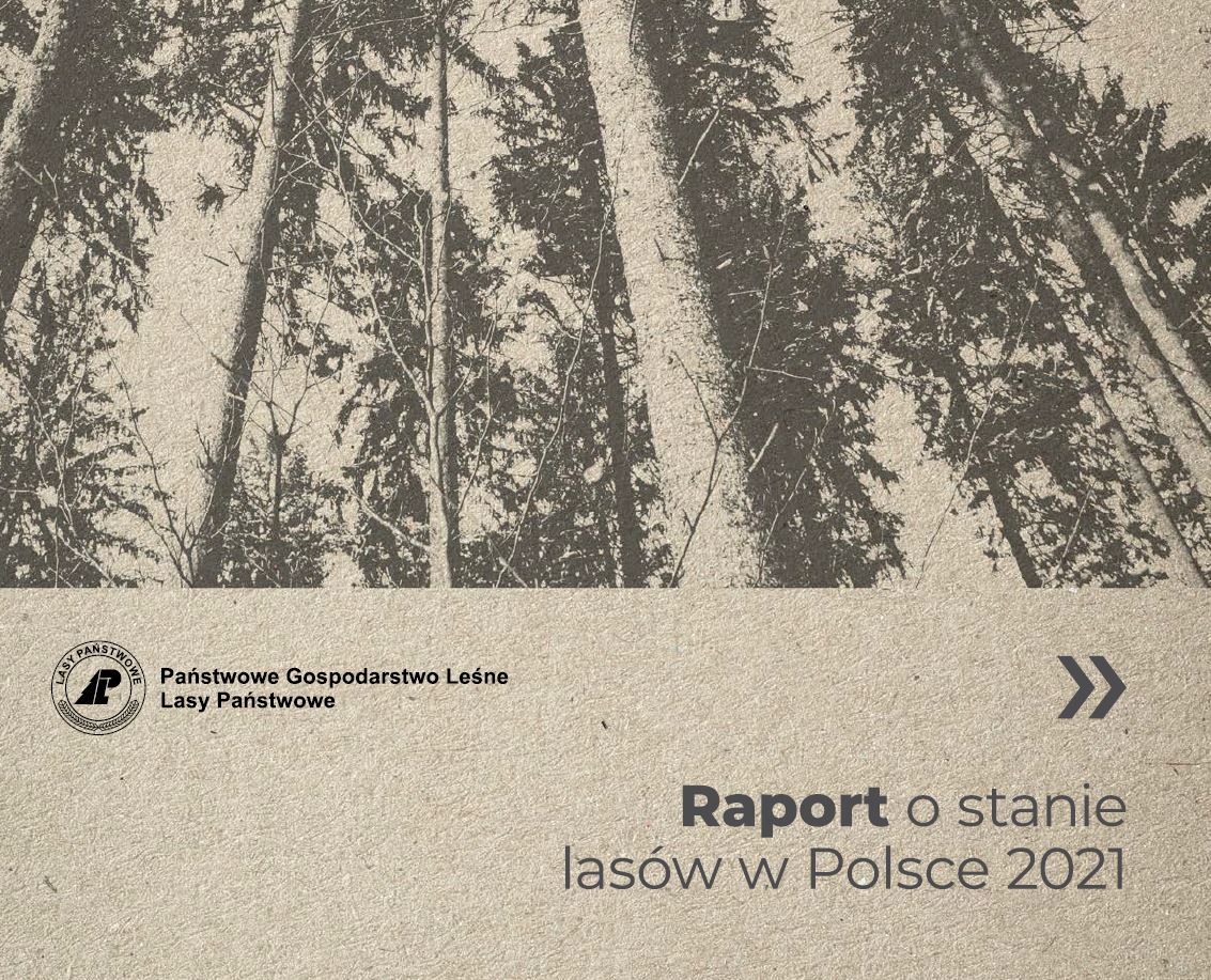 State of forest report